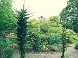 Christchurch, Botanic Garden