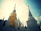 Chiang Mai, Wat Suan Dok