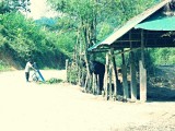 Ran-Tong Elephant Centre
