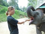Ran-Tong Elephant Centre
