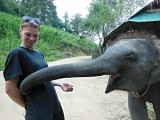 Ran-Tong Elephant Centre