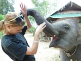 Ran-Tong Elephant Centre