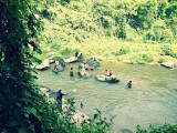 Ran-Tong Elephant Centre