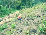 Ran-Tong Save&Rescue Elephant Centre
