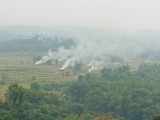 Ran-Tong Save&Rescue Elephant Centre