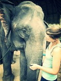 Ran-Tong Save&Rescue Elephant Centre