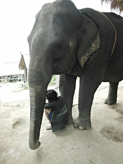 Ran-Tong Save&Rescue Elephant Centre