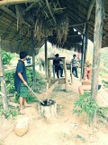 Ran-Tong Save&Rescue Elephant Centre