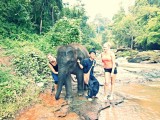 Ran-Tong Save&Rescue Elephant Centre