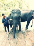 Ran-Tong Save&Rescue Elephant Centre
