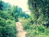 Ran-Tong Save&Rescue Elephant Centre