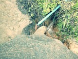Ran-Tong Save&Rescue Elephant Centre