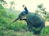 Ran-Tong Save&Rescue Elephant Centre
