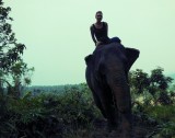 Ran-Tong Save&Rescue Elephant Centre