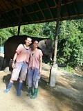 Ran-Tong Save&Rescue Elephant Centre