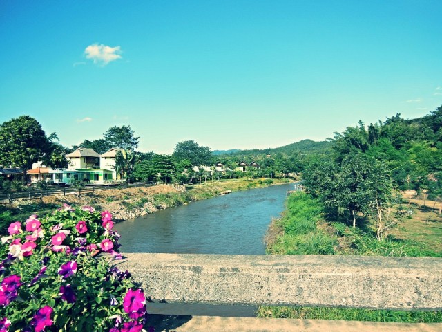Pai