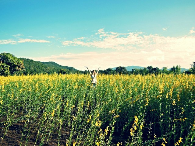 Pai