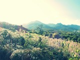 Pai, Yun Lai View Point