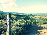 Pai, Yun Lai View Point