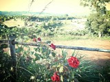 Pai, Yun Lai View Point