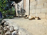 Bad Lad Khammune (homestay)