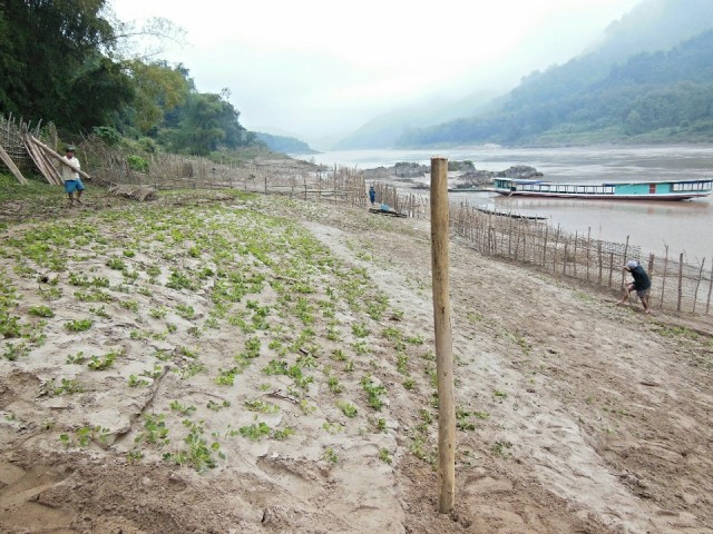 Bad Lad Khammune (homestay)