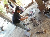 Luang Prabang planting rice