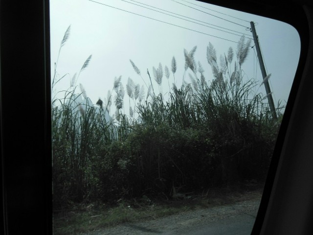 On the road