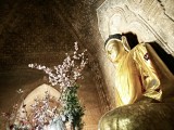 Bagan