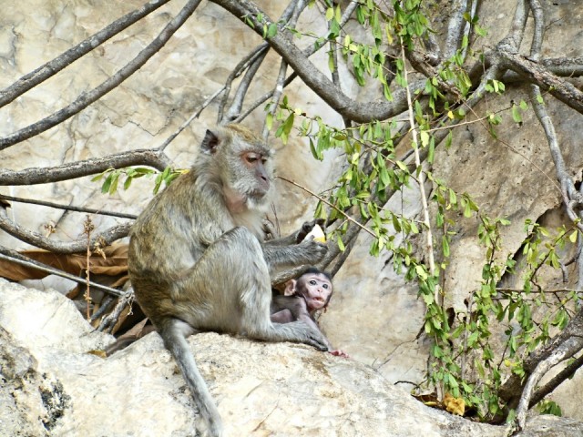 Kuala Lumpur, Batu Caves