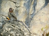Kuala Lumpur, Batu Caves