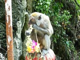 Kuala Lumpur, Batu Caves