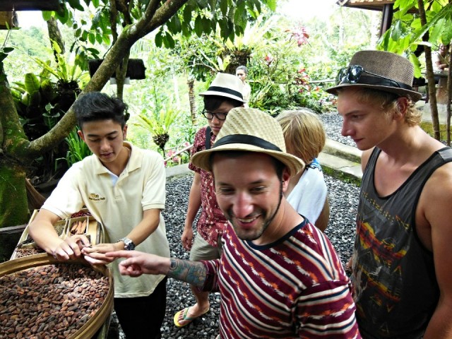 Kintamani, Luwak coffee