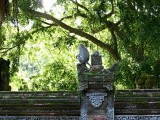 Ubud, Monkey Forest
