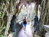 Ubud, Monkey Forest