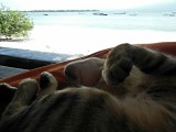 Gili Trawangan