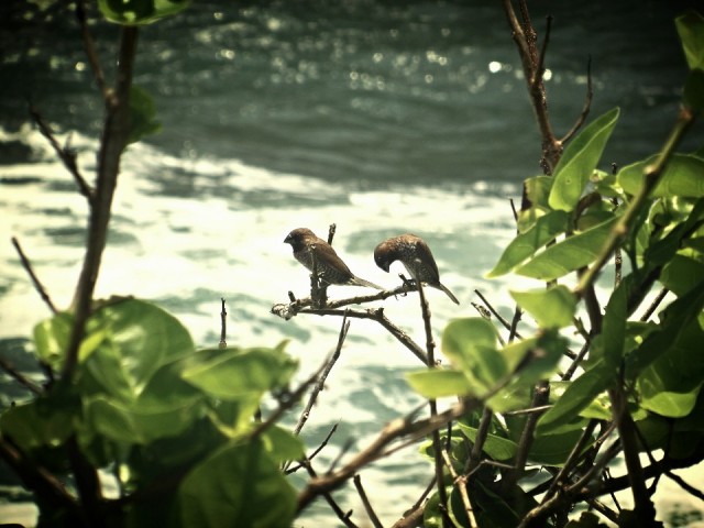 Tanah Lot