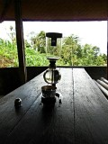 Kintamani, Luwak coffee