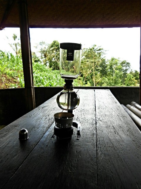 Kintamani, Luwak coffee