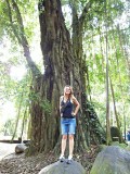 Ubud, Monkey Forest