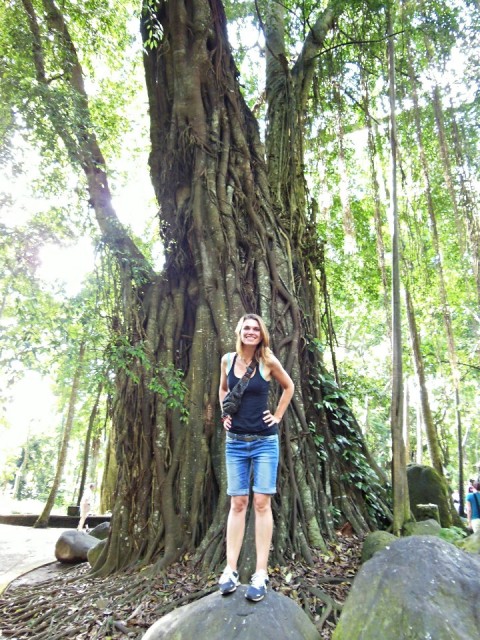 Ubud, Monkey Forest