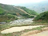 Sa Pa