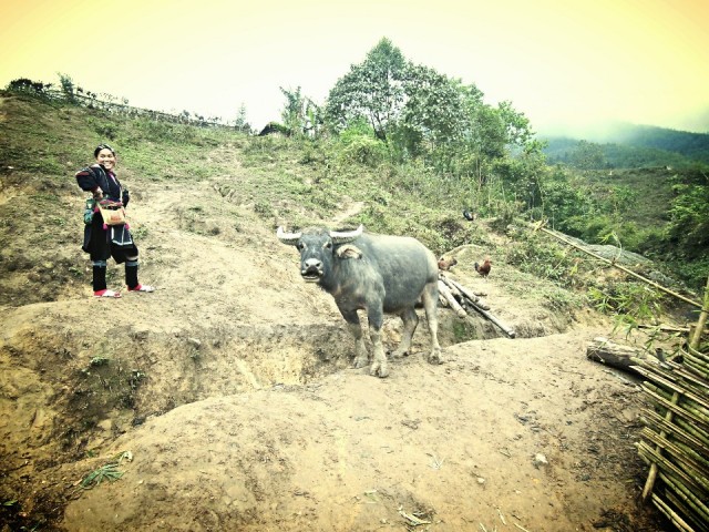 Sa Pa