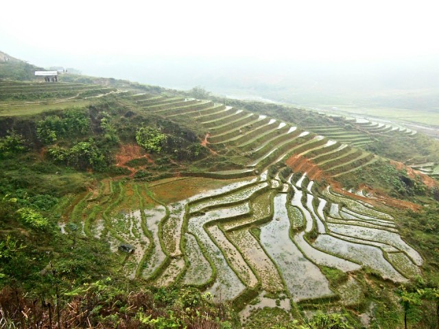 Sa Pa