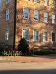 Chapel Hill