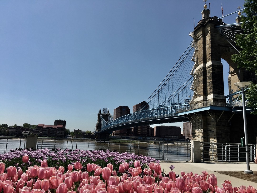 Cincinnati