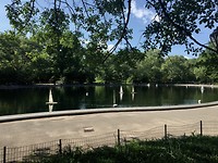 Central Park