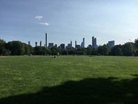 Central Park