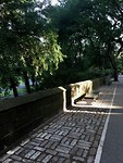 Central Park