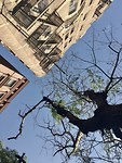 Manhattan